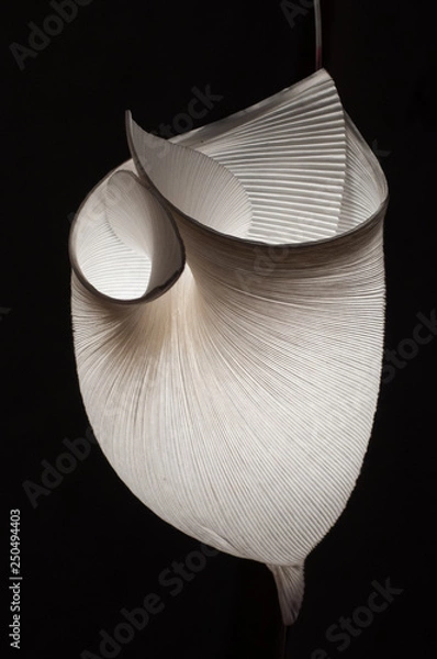 Fototapeta paper lamp, light, shadow, pattern