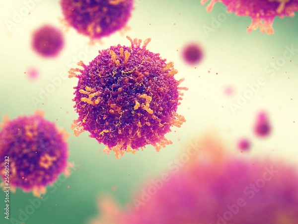 Obraz Measles also known as morbilli and rubeola is a highly contagious viral infection, Measles Morbilliviruses