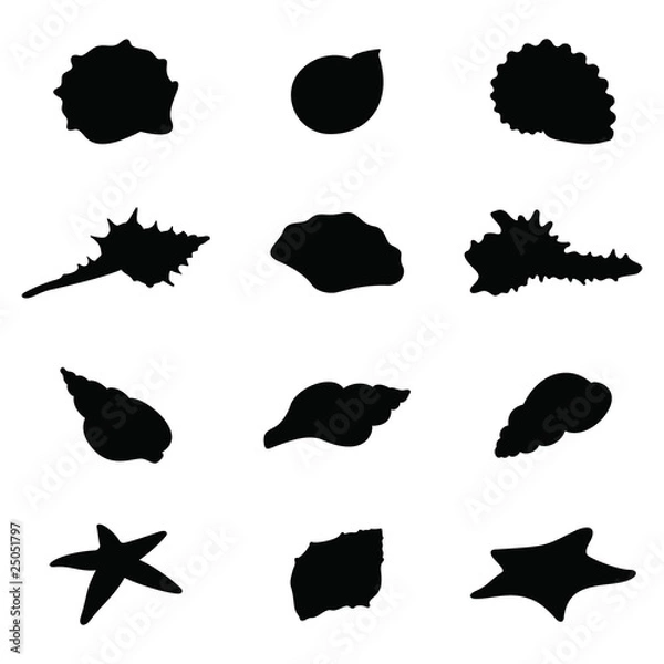 Obraz Shells and starfishes silhouettes
