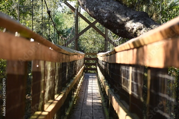 Obraz Jungle Bridge