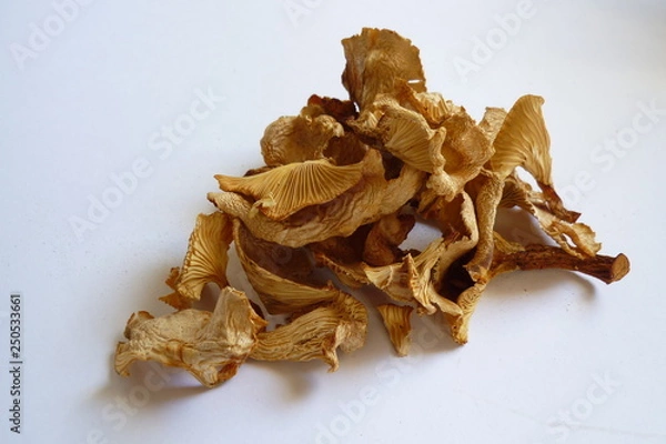 Obraz dry chanterelles