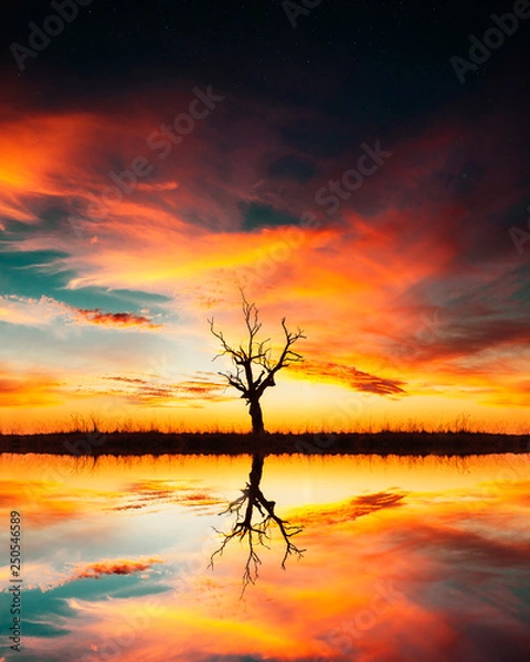 Fototapeta Tree and Reflection in Lake With Epic Sunset 