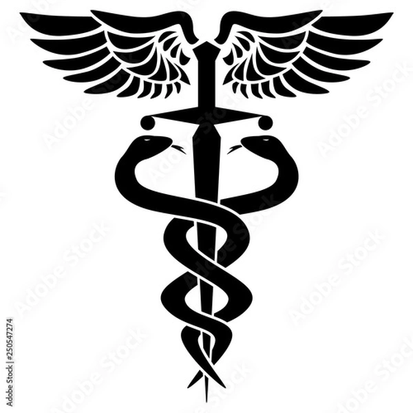 Fototapeta Caduceus medical symbol, with two snakes, sword and wings, isolated vector illustration