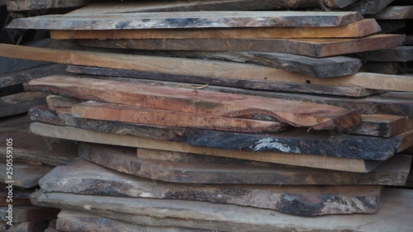 Fototapeta OLYMPUS DIGITAL CAMERA