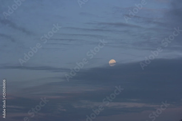 Fototapeta Cloudy moon 