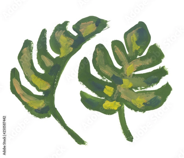 Fototapeta Set of two palm tree leaves. Artwork in bright green gouache paint on clean white background