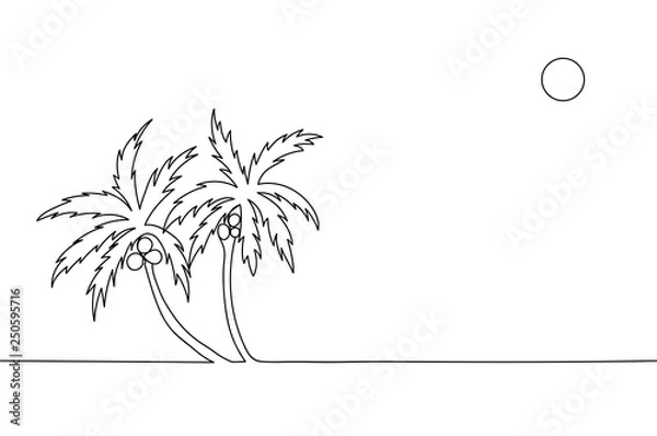 Fototapeta Continuous line drawing of palm trees with coconuts. 