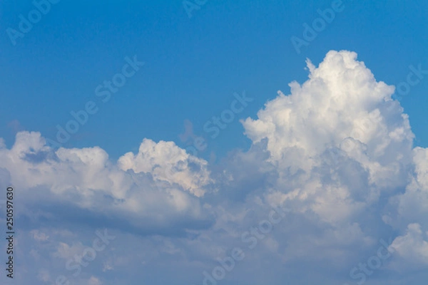 Fototapeta 青い空と白い雲