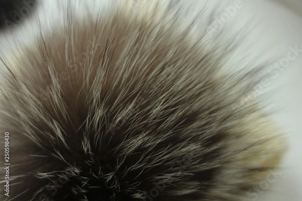 Obraz abstract background