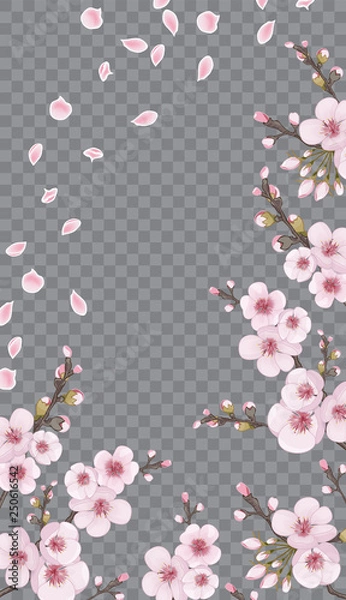 Obraz Rose on transparent fond. Theme design textiles, wallpaper, packaging, printing, story. Handmade background in the Japanese style. Spring frame vertical of sakura flowers.