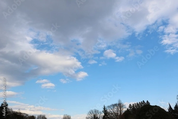 Obraz 風景　冬の午後　茨城