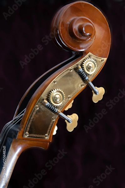 Obraz Double Bass detail