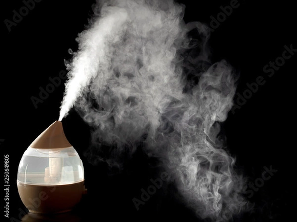 Obraz humidifier close - up home