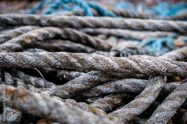 Obraz Old Rough Rope