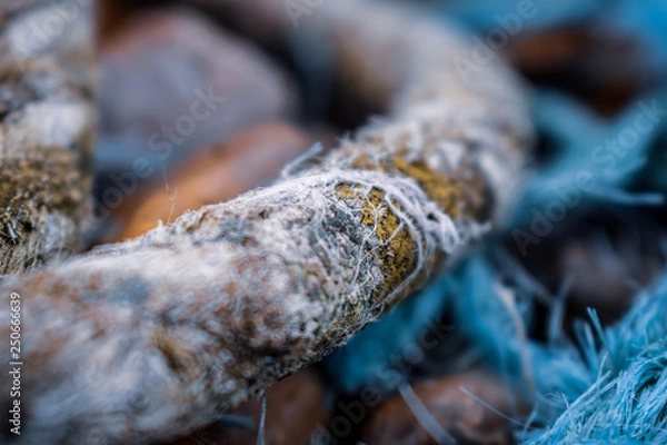 Obraz Old Rough Rope