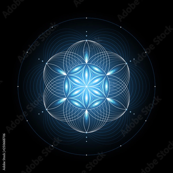 Obraz Fantastic sacred geometry; Shiny ancient symbol "flower of life" on black background; Psychedelic vector illustration.