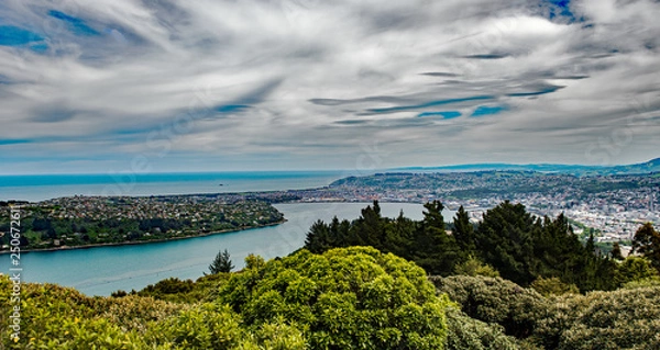 Fototapeta Dunedin 9105