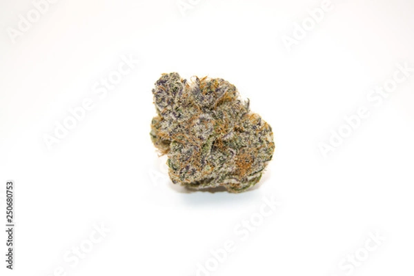 Fototapeta Black Mamba