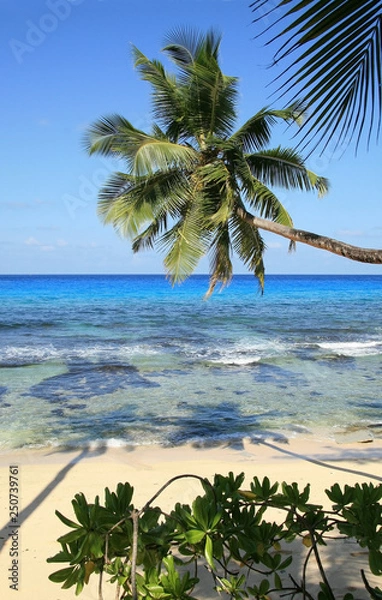 Obraz lagoon with clear blue water, tropical greenery and rocks with beach