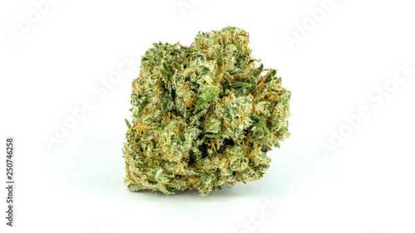 Fototapeta Northern Lights