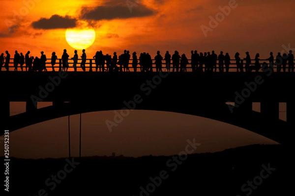 Obraz Poszukiwanie nietoperzy w kongresowym moście avenue austin