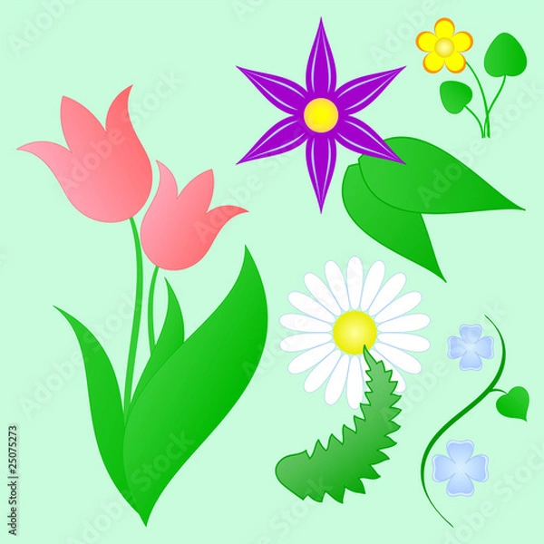 Obraz spring flowers set on light green background