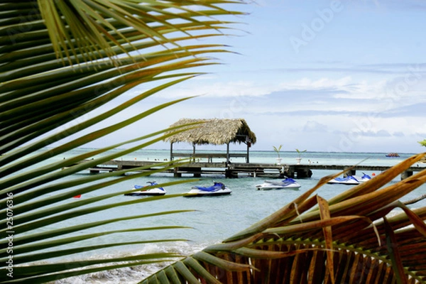 Obraz Tobago Pigeon Point