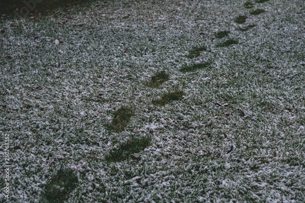 Obraz Steps in the Snow