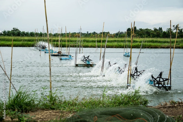 Obraz boats on the river