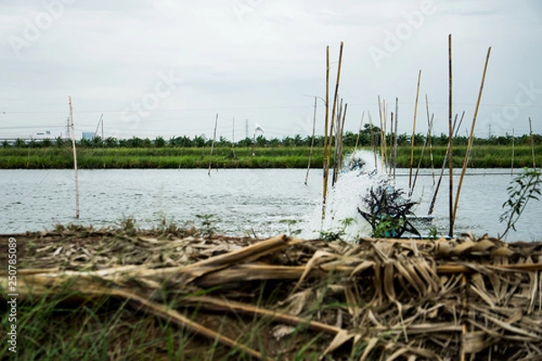 Obraz boat on the lake
