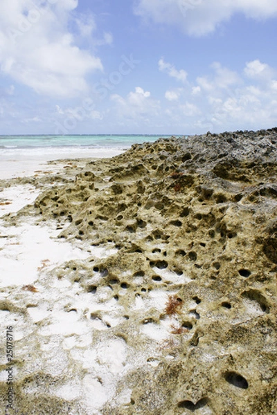 Fototapeta Bahamas beaches, pink sands beach