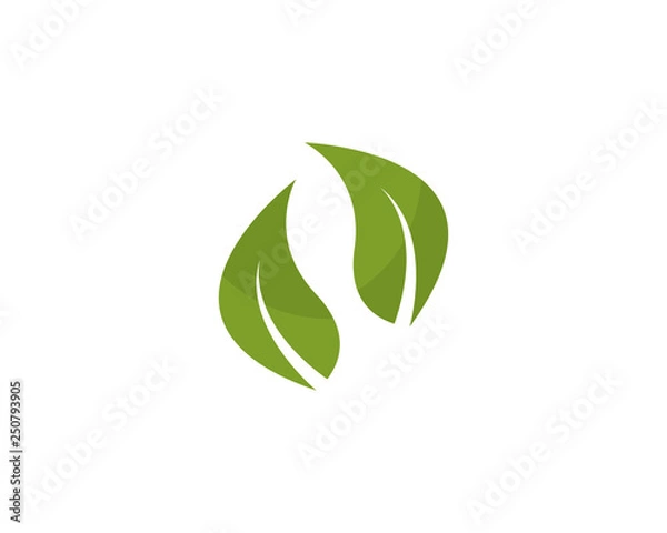 Fototapeta Logos of green leaf ecology nature element vector icon