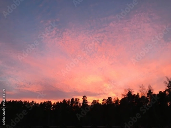 Obraz sunset in the sky