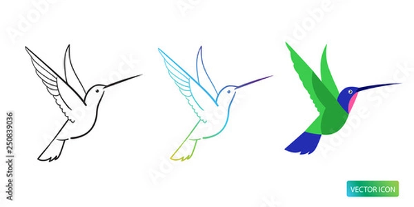 Fototapeta Hummingbird Icons Or Logo Design Vector Images On White Background. Hummingbird Line Logo Icons. Isolated Hummingbird Line Sketch Vector Image.