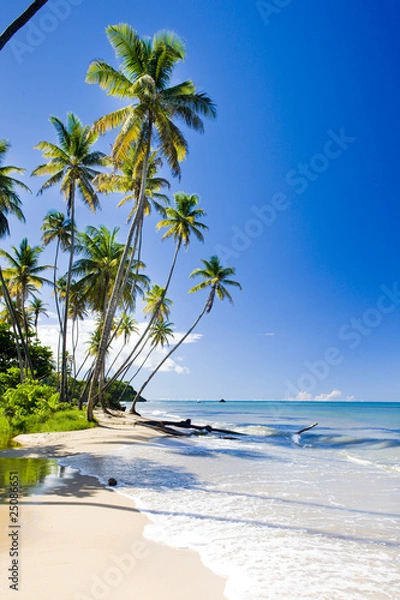 Obraz Północne wybrzeże Trynidadu, Karaiby