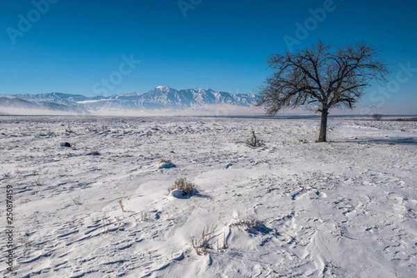 Obraz winter landscape