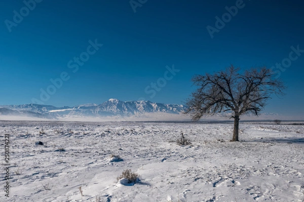 Obraz winter landscape