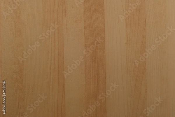 Fototapeta birch texture