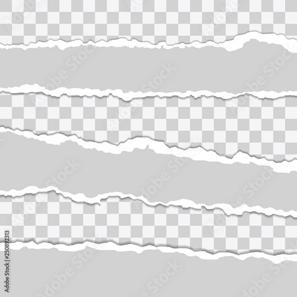 Fototapeta Beautiful realistic torn paper stripes vector set tamplate on transparent background.