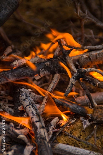 Obraz Burning coals in the fire