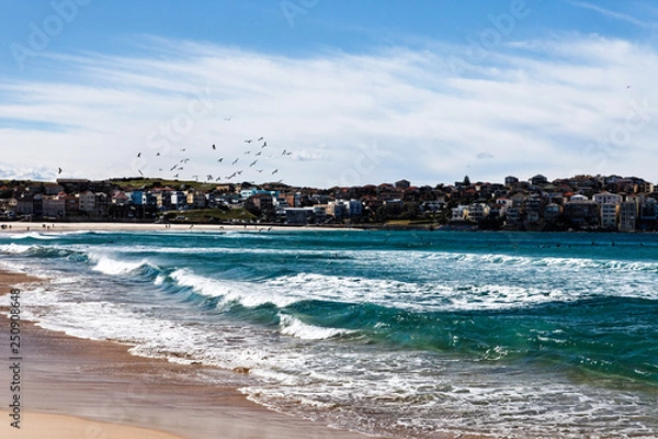 Obraz Small waves at bondi beach, sydney, australia