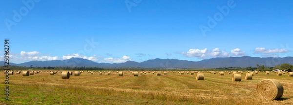 Obraz Panoramic hay bales and hills on the Atherton Tableland in Tropical North Queensland, Australia