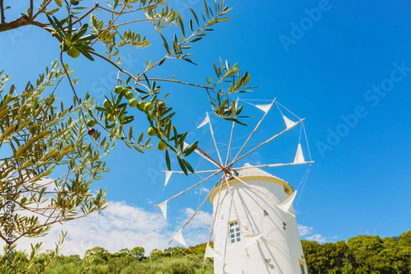 Obraz 小豆島のオリーブ園の風車