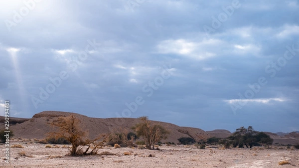 Obraz desert