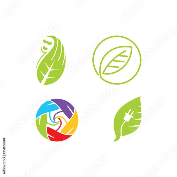 Fototapeta Leaf Logo Design Vector Template Set