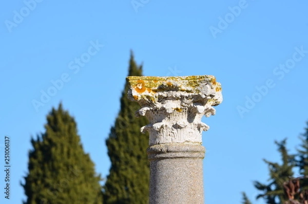 Obraz Columna y capitel