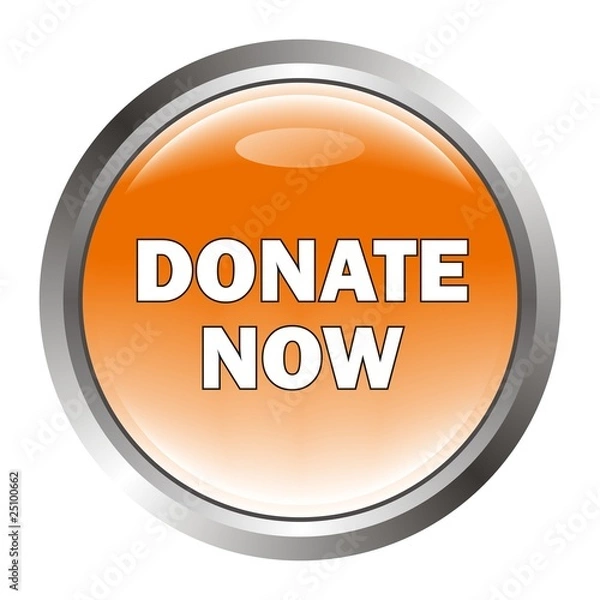 Obraz Button - DONATE NOW