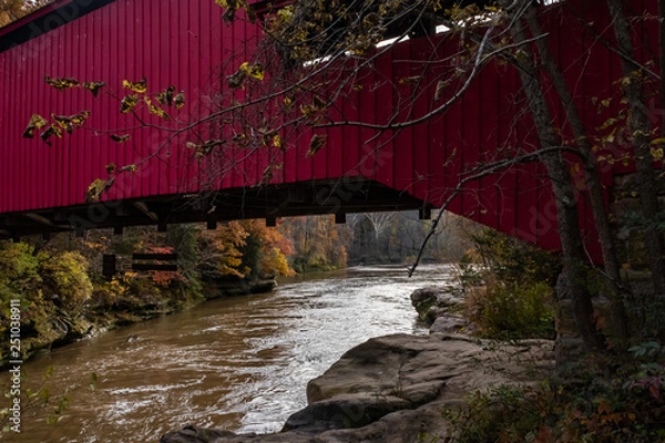 Obraz Covered bridge