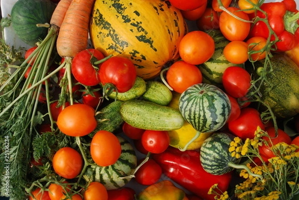 Obraz овощи