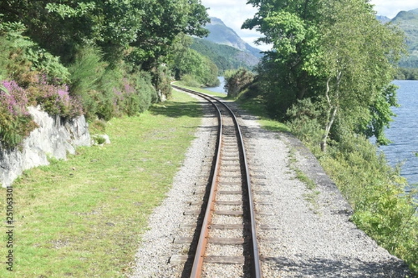 Obraz railway in the forest